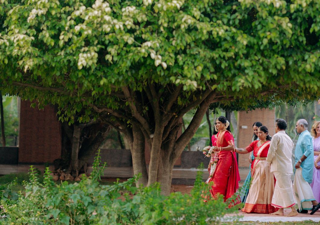 Wedding Mopics Photography